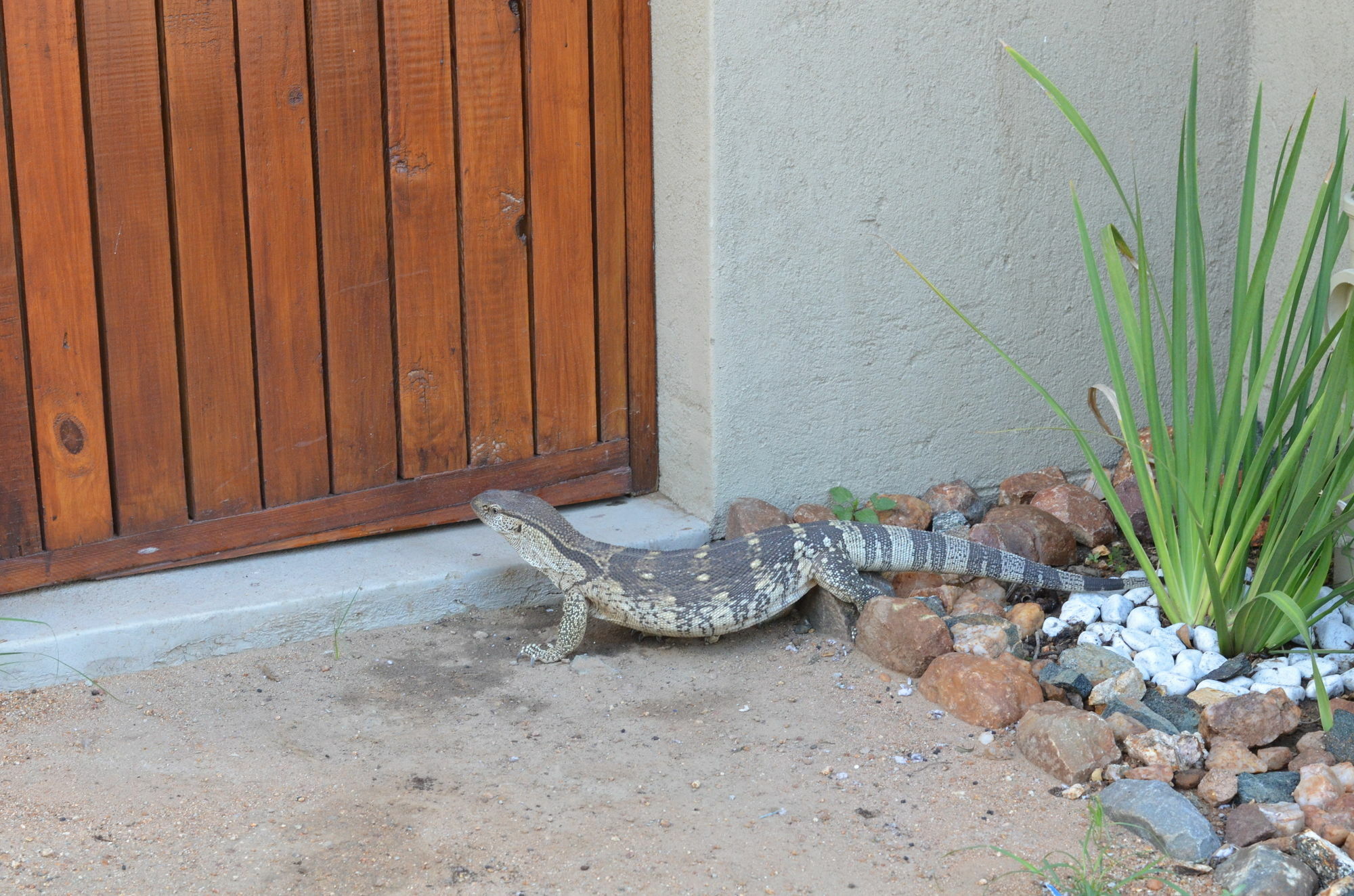 The Baobab Bush Lodge, No Self Catering Hoedspruit Buitenkant foto